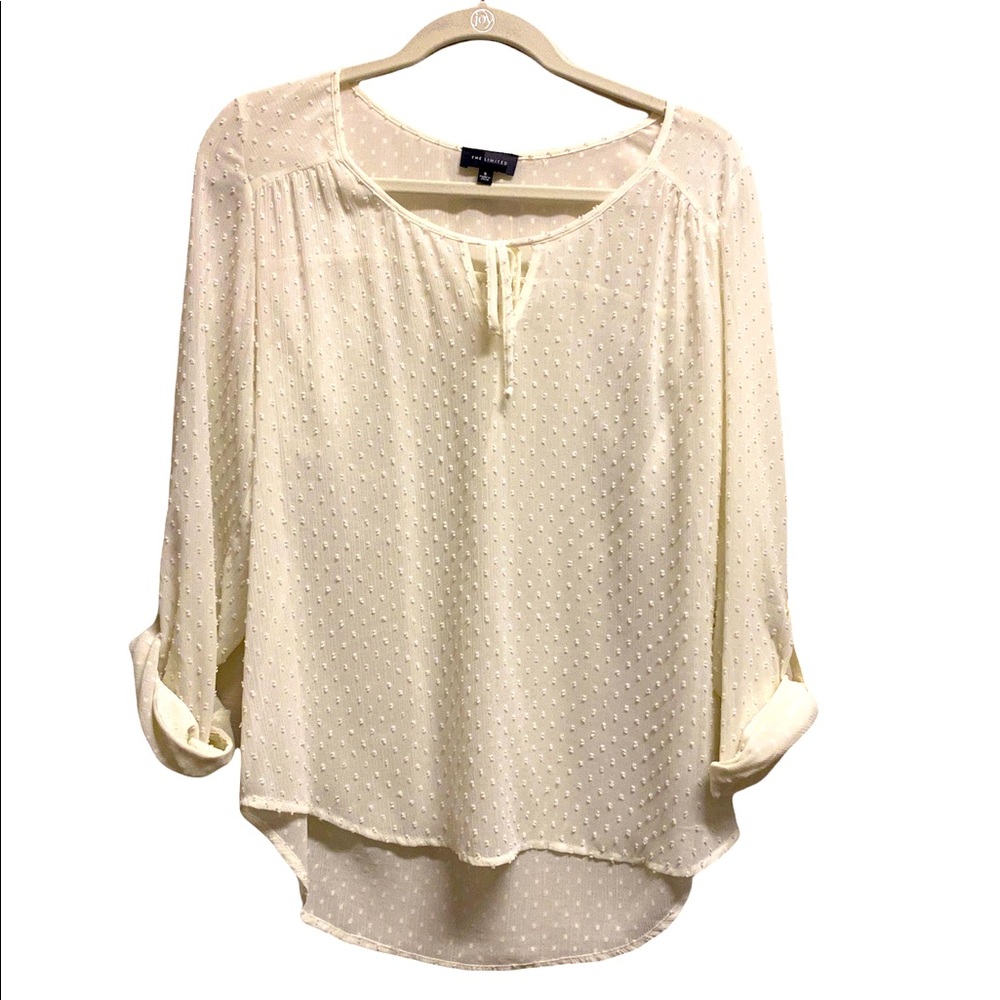 The Limited Sheer Cream Swiss Dot Blouse S